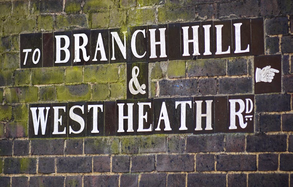 Close-up of a street sign mounted on a moss-covered brick wall, displaying the names 'Branch Hill' and 'West Heath Road' with white letters on black background tiles. A small white hand pointing icon