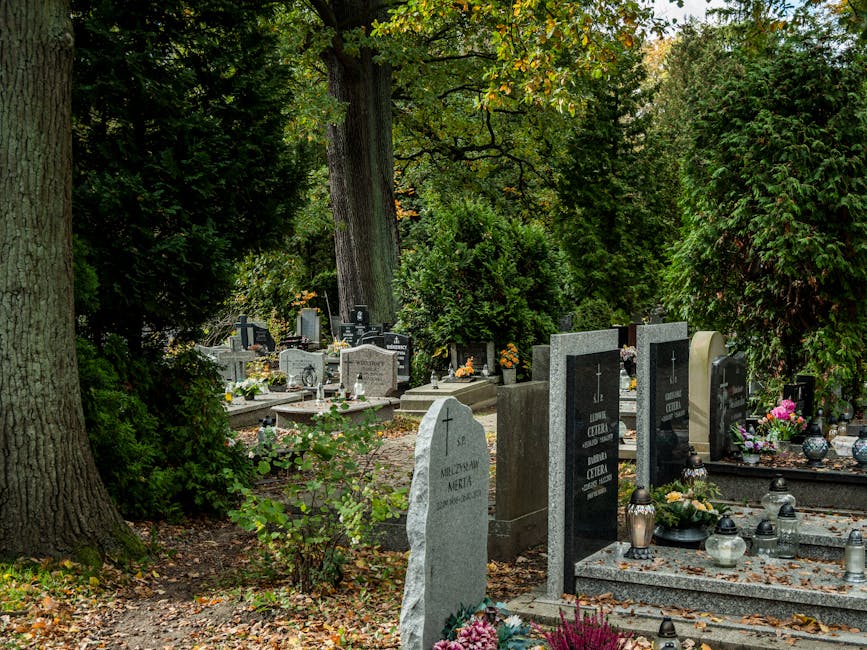 A peaceful cemetery scene featuring multiple gravestones and memorials surrounded by tall, leafy trees and green shrubs. The gravestones vary in shape, size, and material, with some made of polished b